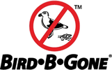 bbg2